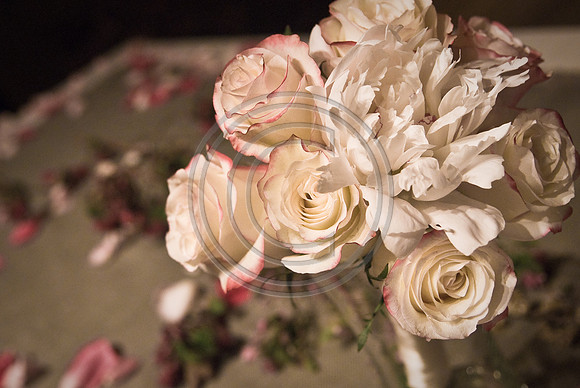 Gieck Wedding-4201