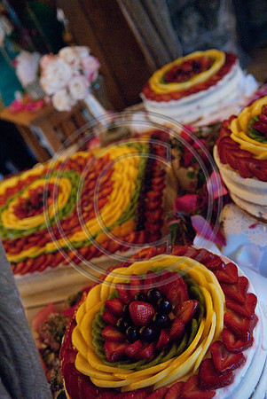 Gieck Wedding-4160
