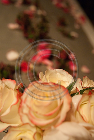 Gieck Wedding-4202