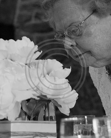 Gieck Wedding-4062