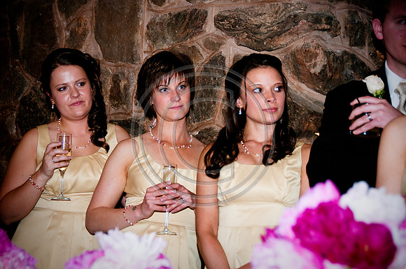 Gieck Wedding-4113