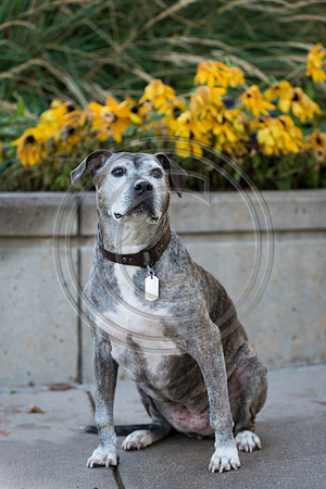 Morgan_F016