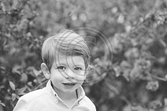 Miller_F026