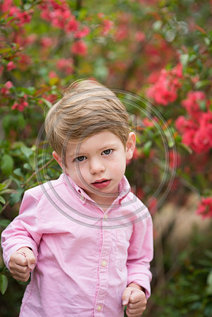 Miller_F028