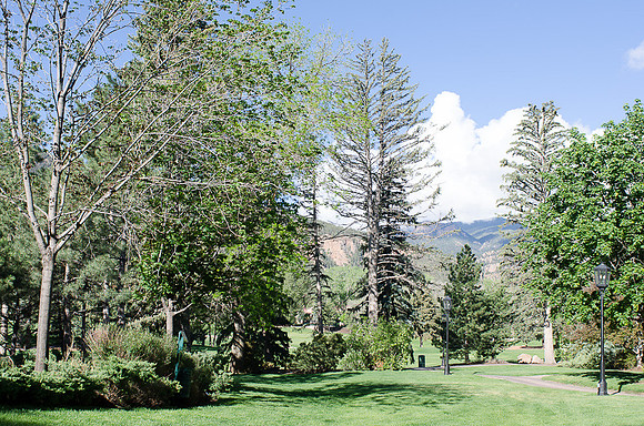 CallahanCGolf_F010_050514