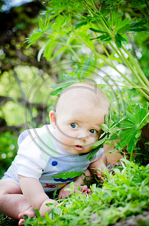 Maxfield_F0047