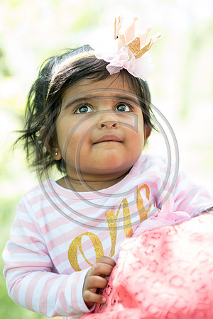 Raghavan_F028
