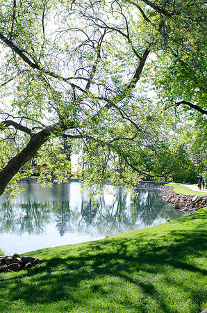 CallahanCGolf_F009_050514