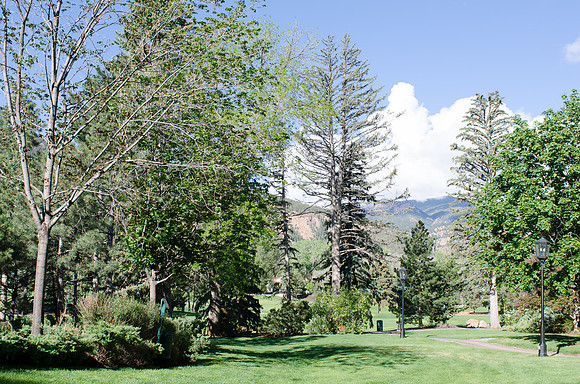 CallahanCGolf_F010_050514