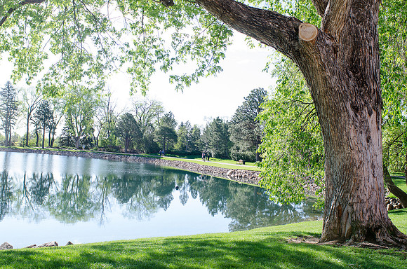 CallahanCGolf_F007_050514