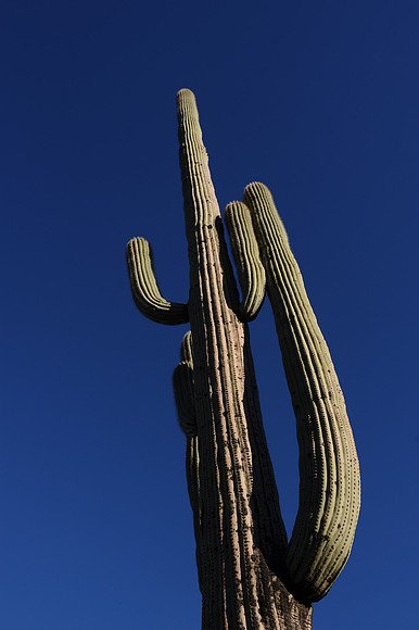 C03_9704