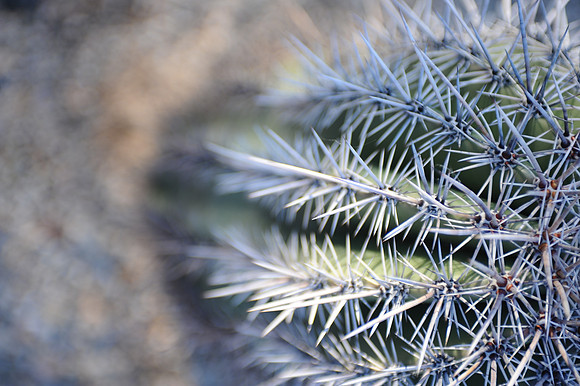C03_9709