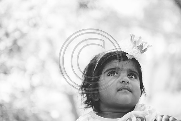 Raghavan_F030