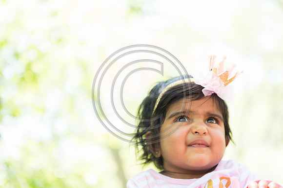 Raghavan_F031