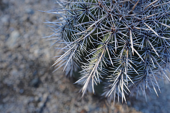 C03_9711