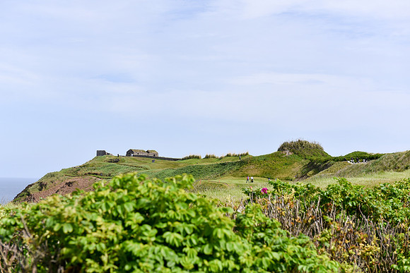 DSC_7060