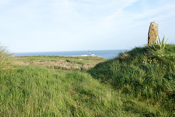 DSC_7217