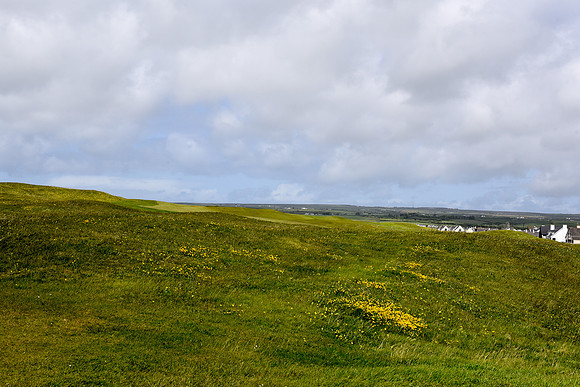 DSC_7589