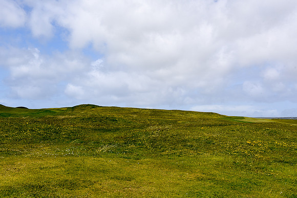 DSC_7588