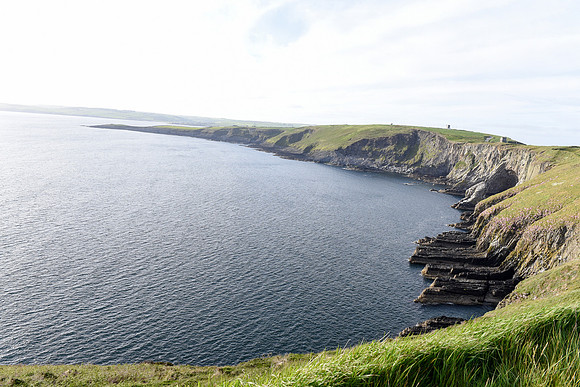DSC_7151