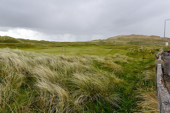 DSC_7353