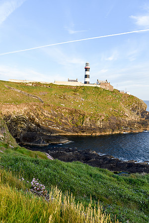 DSC_7263