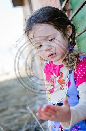 Lane_F088_2012