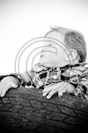Lane_F063_2012
