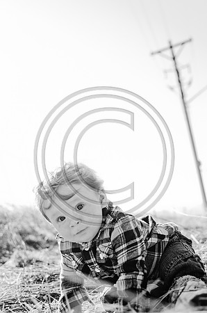 Lane_F019_2012