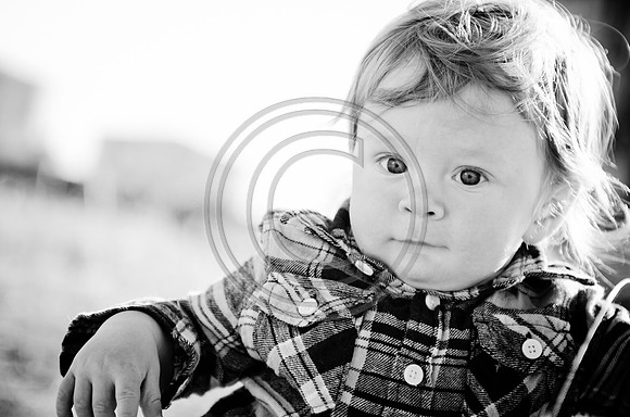 Lane_F118_2012