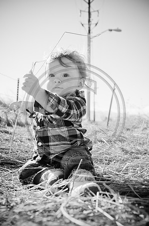 Lane_F020_2012