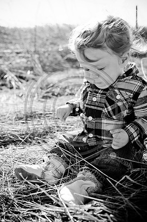 Lane_F008_2012