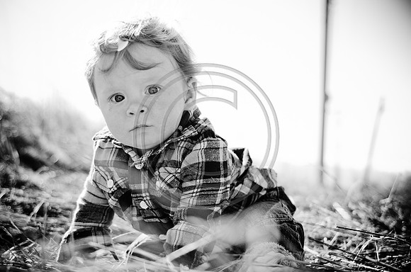 Lane_F017_2012