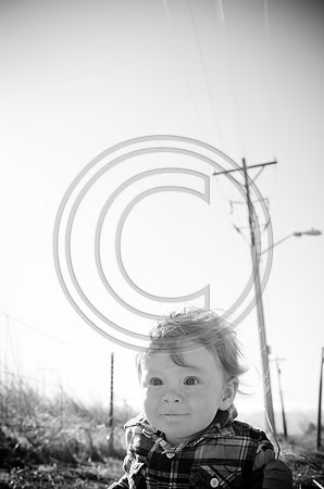 Lane_F022_2012