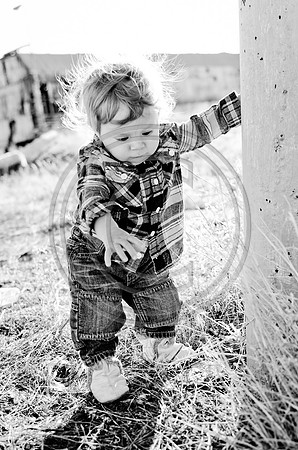 Lane_F115_2012