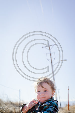 Lane_F023_2012