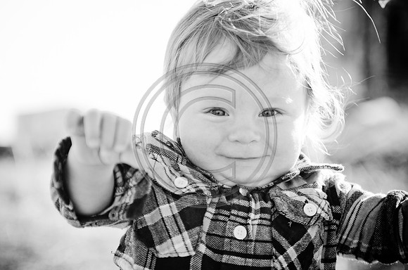 Lane_F120_2012