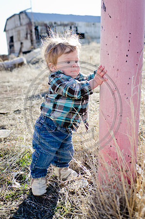 Lane_F113_2012