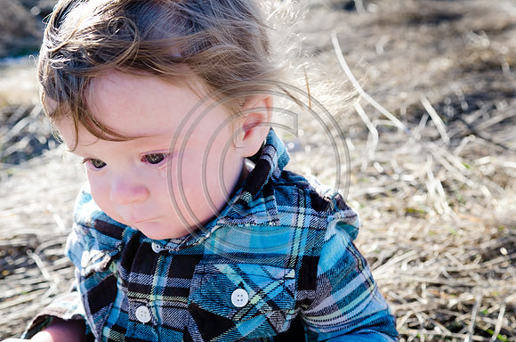 Lane_F024_2012