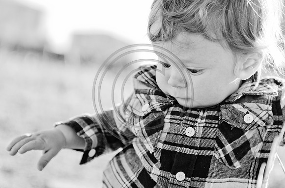 Lane_F116_2012