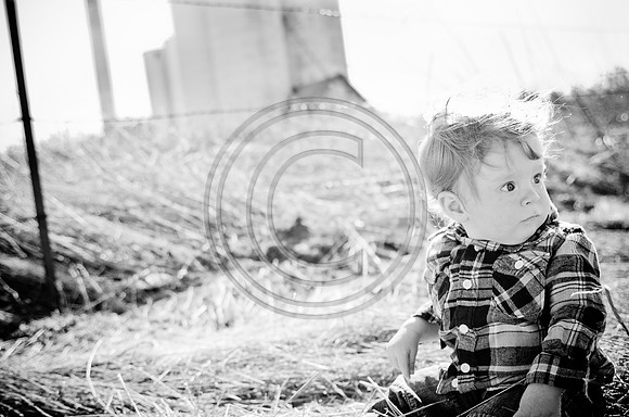 Lane_F009_2012
