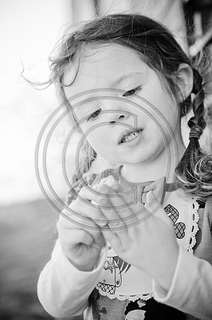Lane_F087_2012