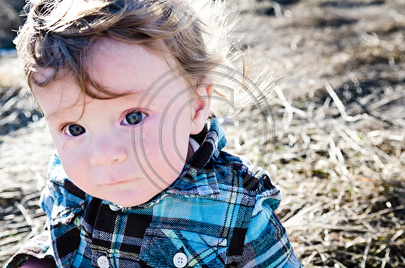 Lane_F025_2012