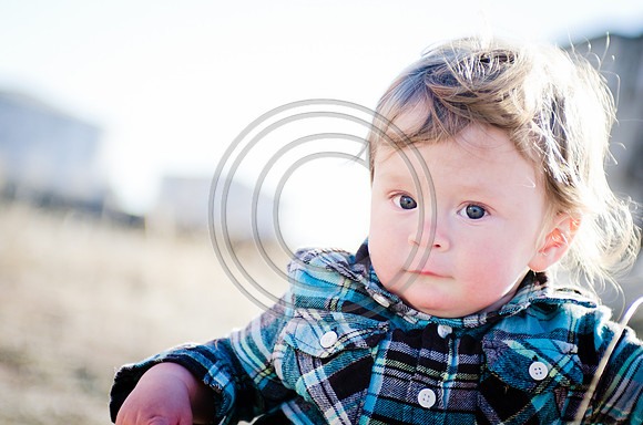 Lane_F117_2012