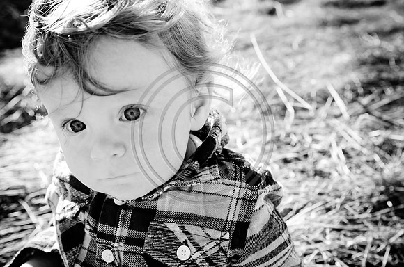 Lane_F026_2012