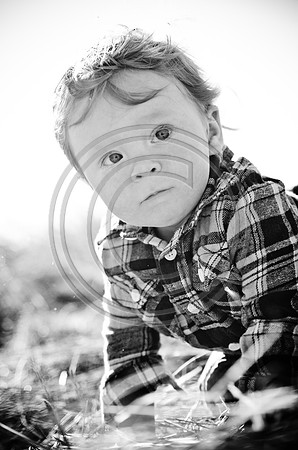 Lane_F014_2012