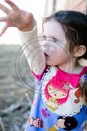 Lane_F091_2012
