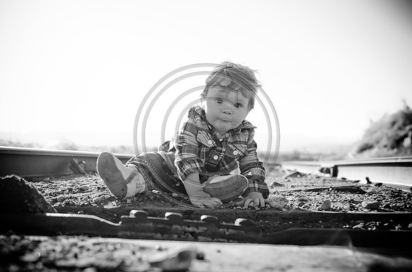 Lane_F129_2012