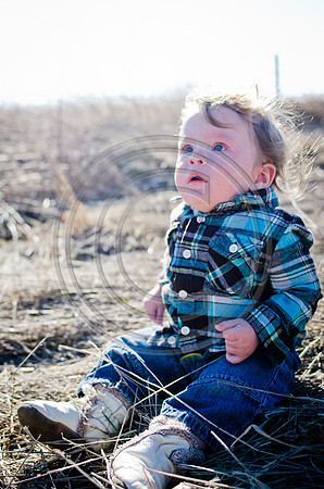 Lane_F007_2012