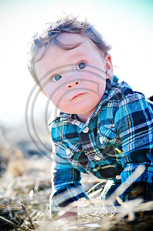 Lane_F015_2012